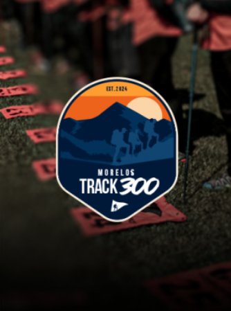 Track Los 300